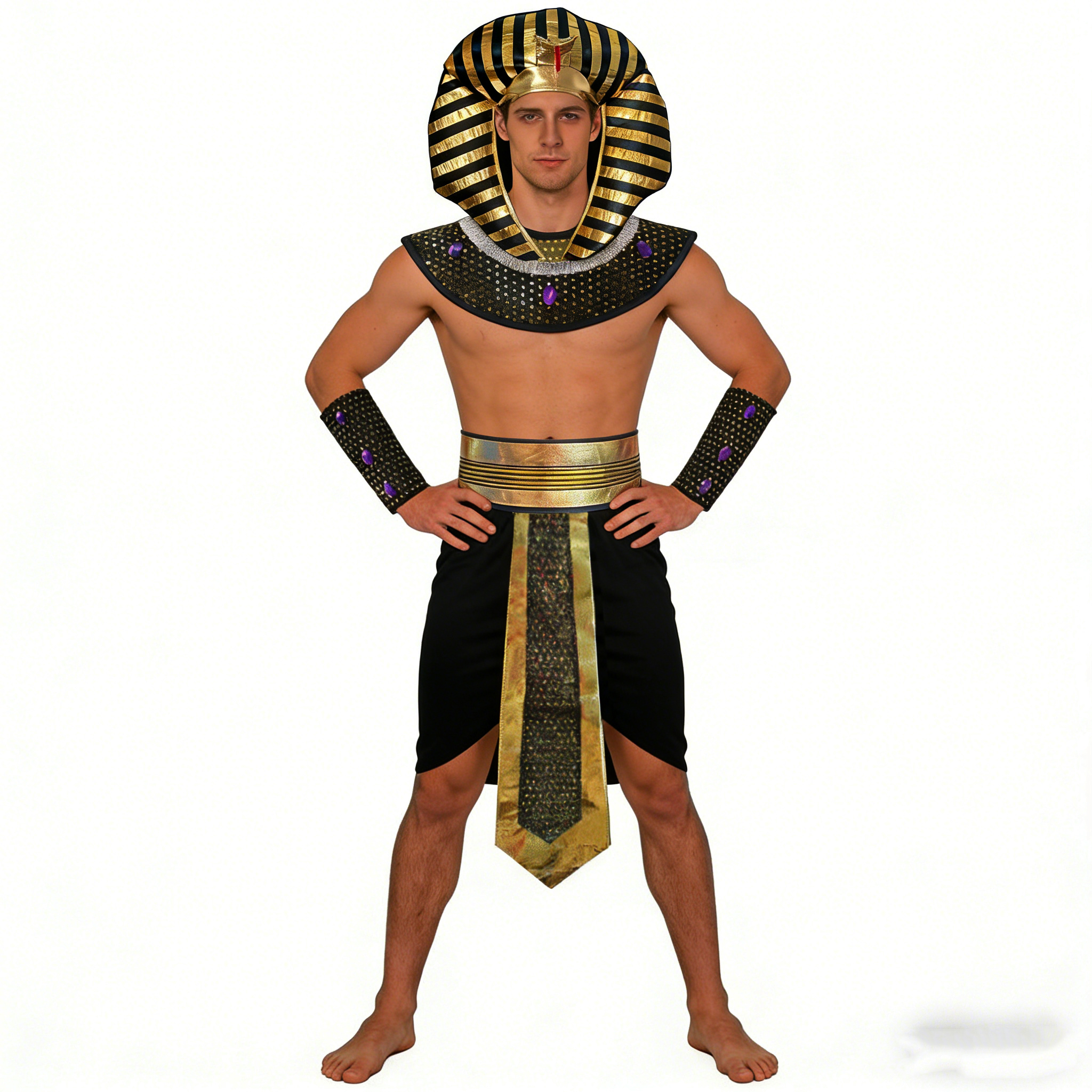 Carnival Men Costume Egyptian  - مراجعة Men Accessories Egypt وسعره