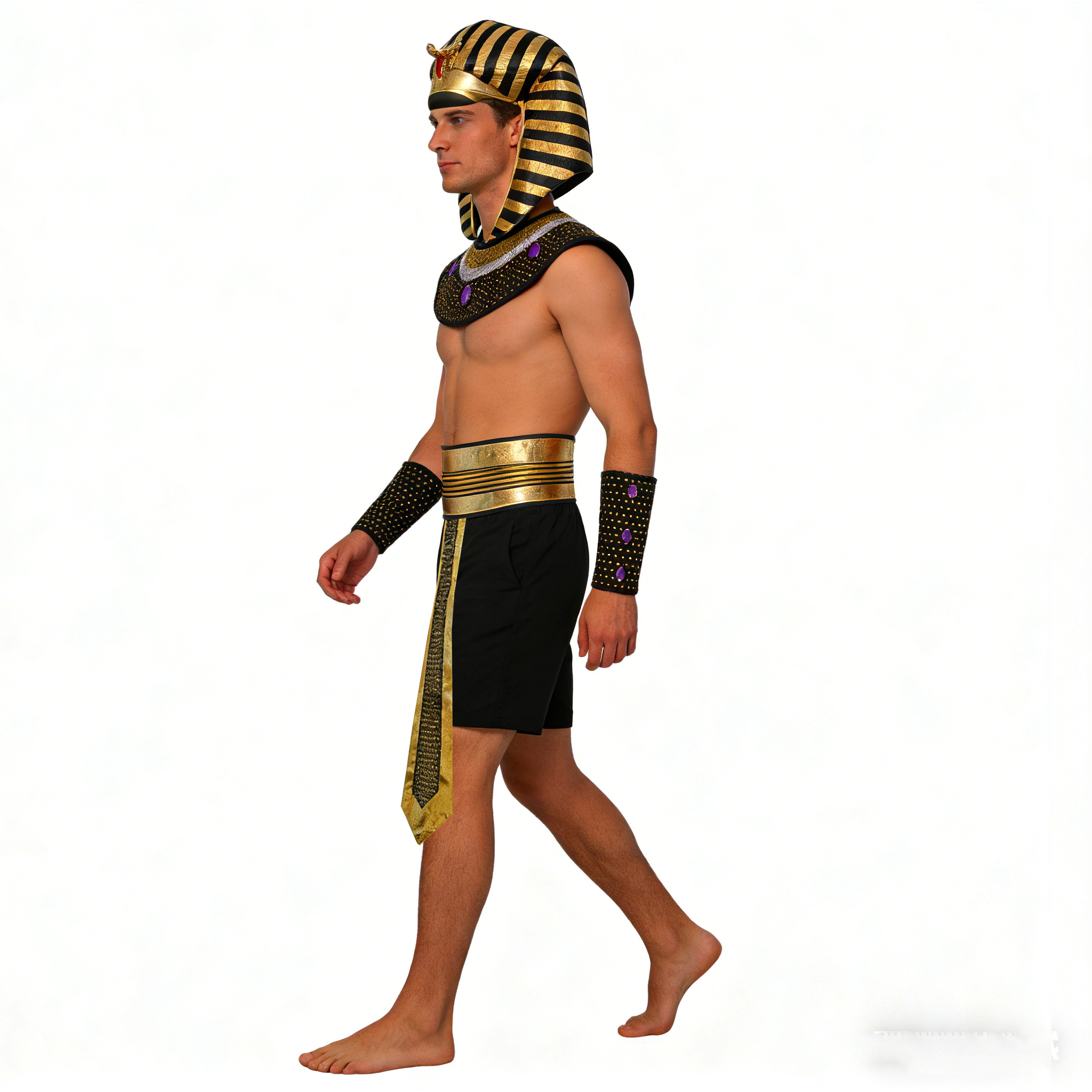 Carnival Men Costume Egyptian  - مراجعة Men Accessories Egypt وسعره