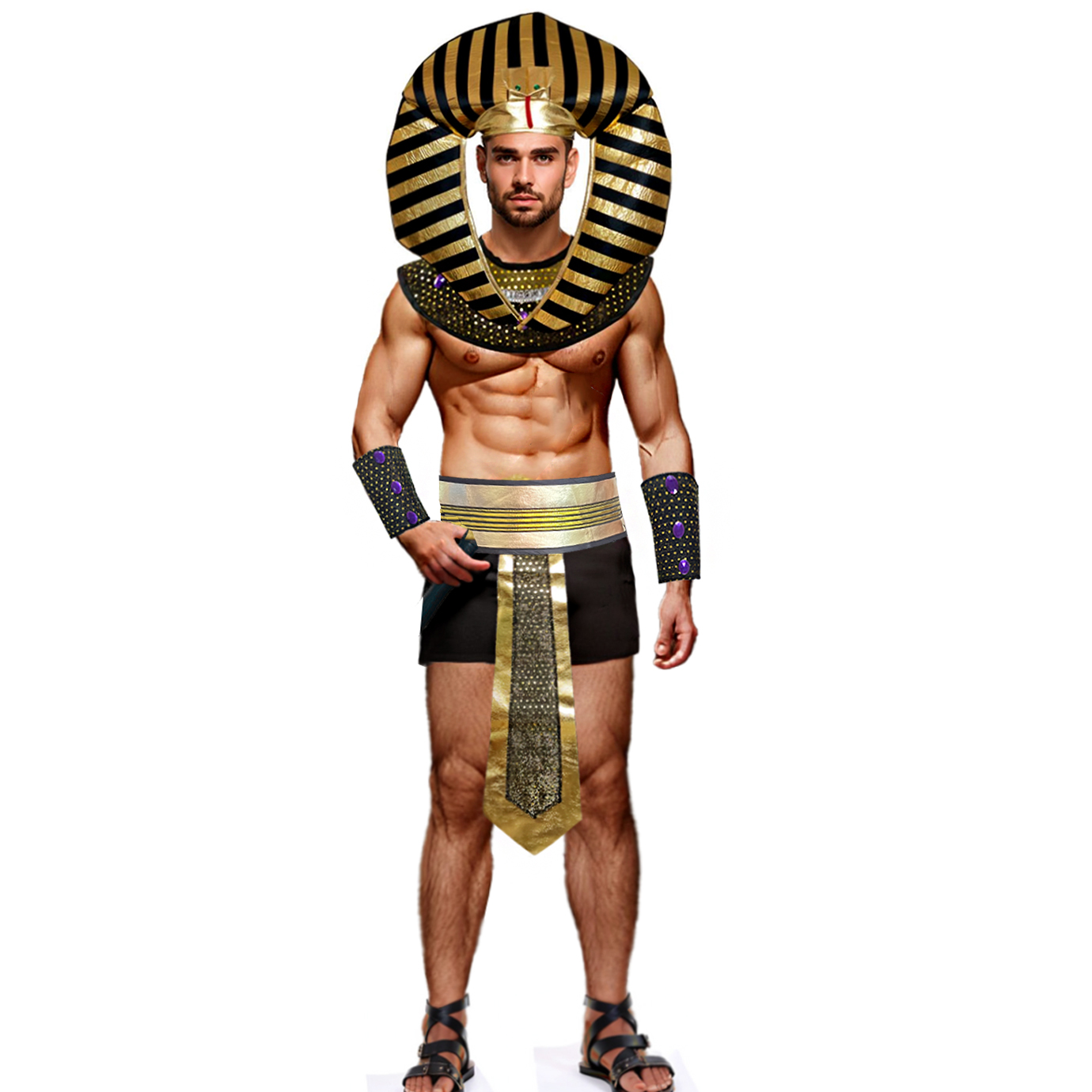 Carnival Men Costume Egyptian  - مراجعة Men Accessories Egypt وسعره