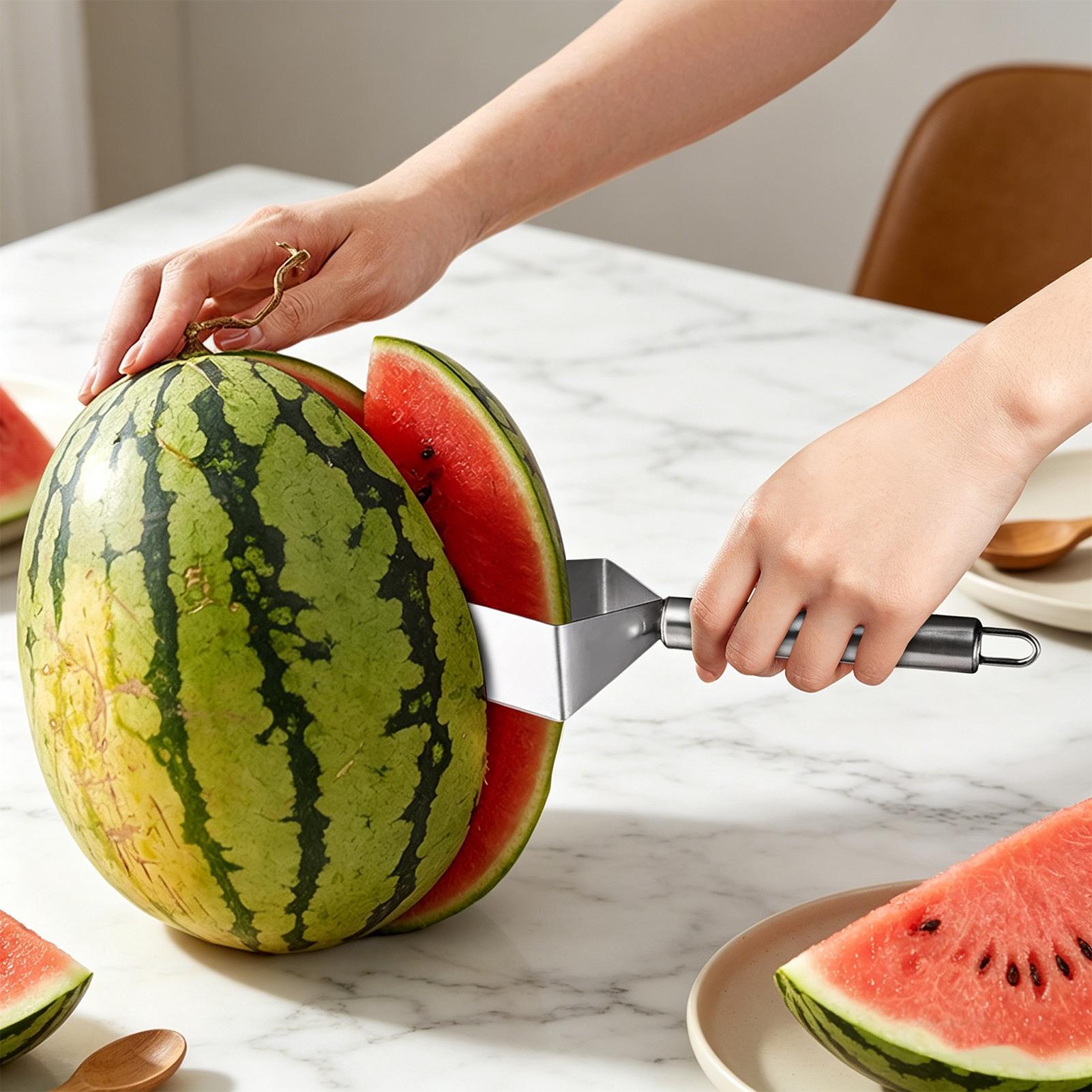stainless steel Watermelon sli - مراجعة Men Accessories Shop وسعره